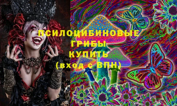 a pvp Алзамай