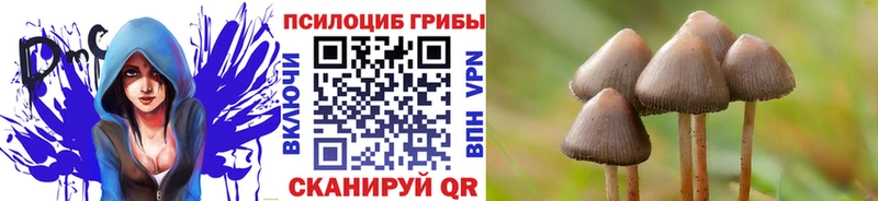 Псилоцибиновые грибы ЛСД  Кирс 